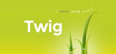A 6min video introduction into Twig, the PHP templating engine