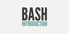 Best introduction to unix command line / bash ever (by André Augusto Costa Santos)